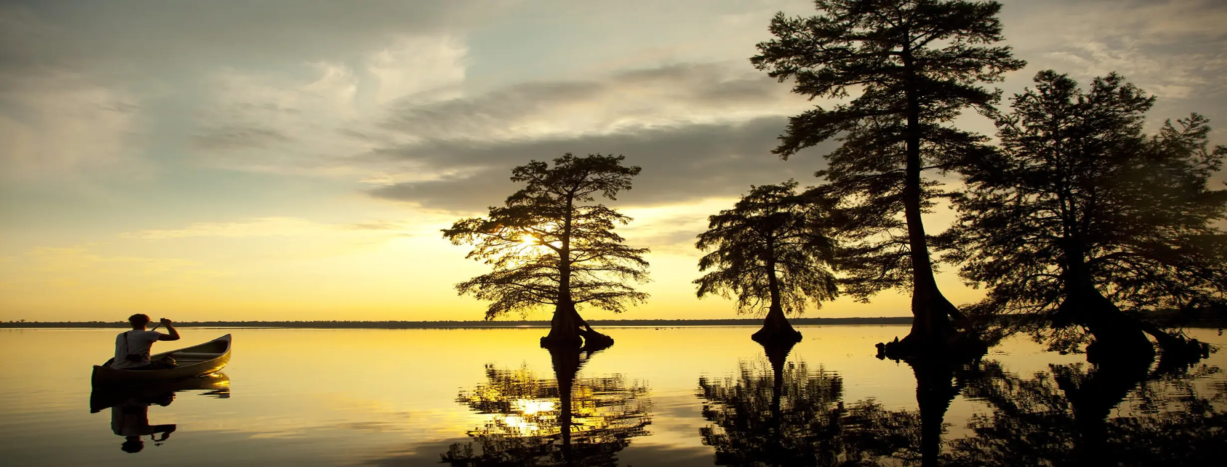 Image for Wildlife Refuge Wonders